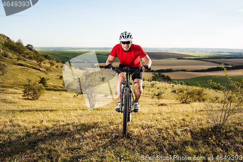 Image of Young cyclist cycling in the spring meadow