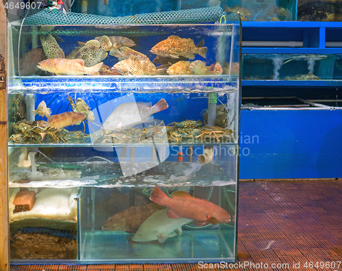 Image of Live Fish Market