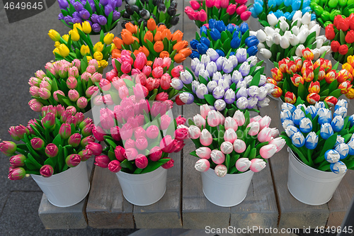 Image of Wooden Tulips in Buckets