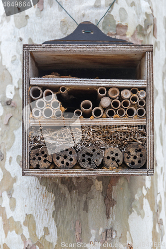 Image of Beehive Hotel Box