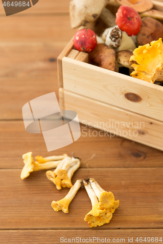 Image of wooden box of different edible mushrooms