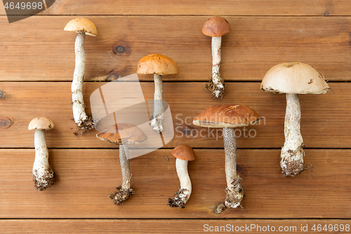 Image of brown cap boletus mushrooms on wooden background