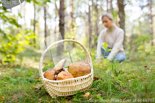 Image of basket of mushrooms and woman in autumn forest