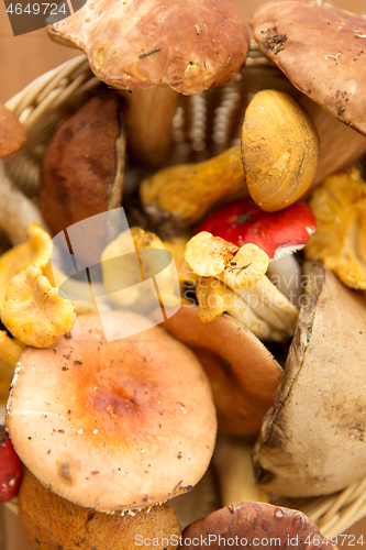 Image of brown cap boletus mushrooms on wooden background