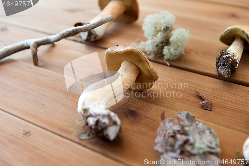 Image of boletus edulis mushrooms on wooden background