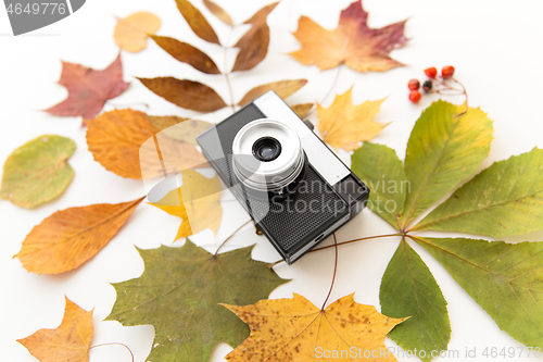 Image of film camera and autumn leaves on white background