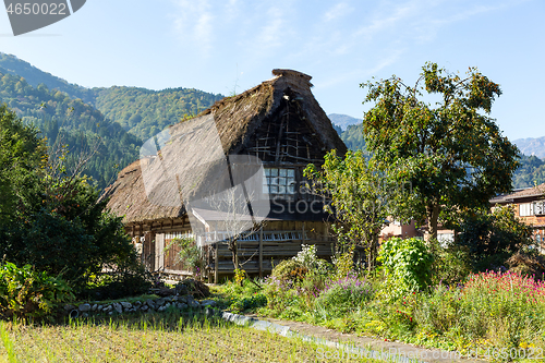 Image of Shirakawa Village