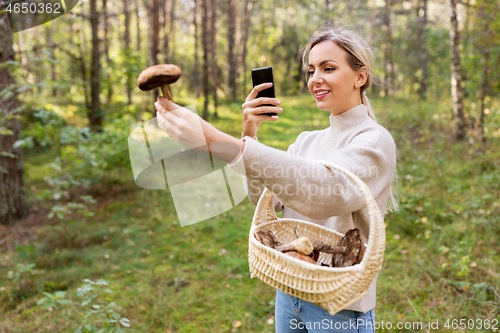 Image of woman using smartphone to identify mushroom