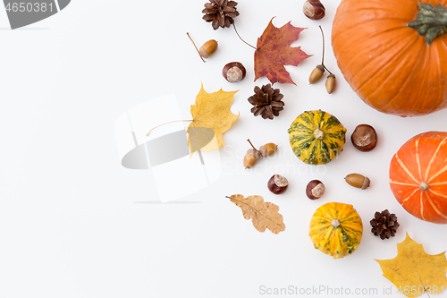 Image of autumn leaves, chestnuts, acorns and pumpkins