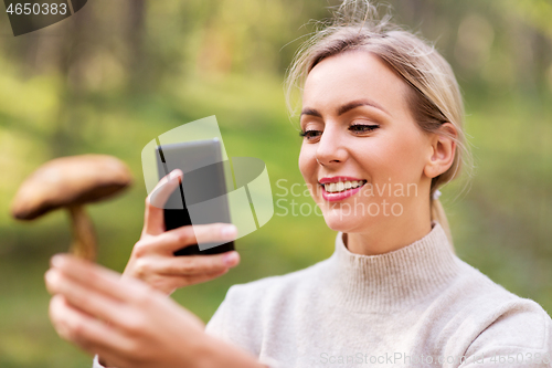 Image of woman using smartphone to identify mushroom