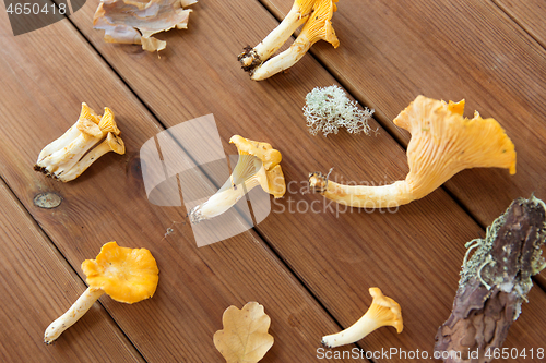 Image of chanterelles on wooden background