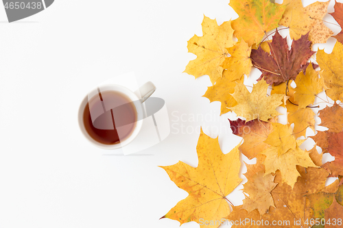 Image of cup of black tea and autumn maple leaves