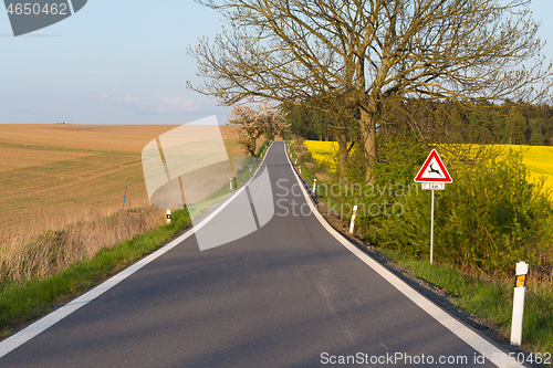 Image of road with trees in spring