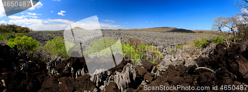 Image of Tsingy rock formations in Ankarana, Madagascar wilderness