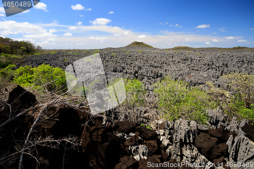 Image of Tsingy rock formations in Ankarana, Madagascar wilderness