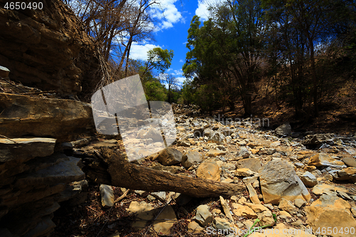 Image of dry stone riverbed, Ankarana Madagascar