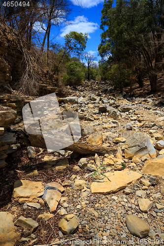 Image of dry stone riverbed, Ankarana Madagascar