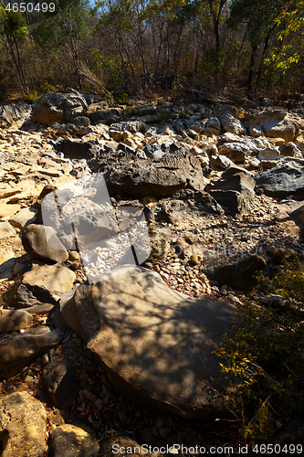 Image of dry stone riverbed, Ankarana Madagascar