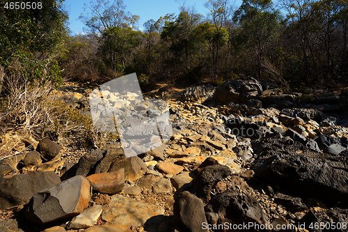 Image of dry stone riverbed, Ankarana Madagascar