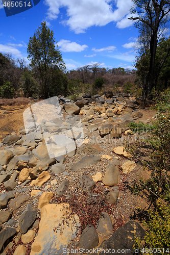 Image of dry stone riverbed, Ankarana Madagascar