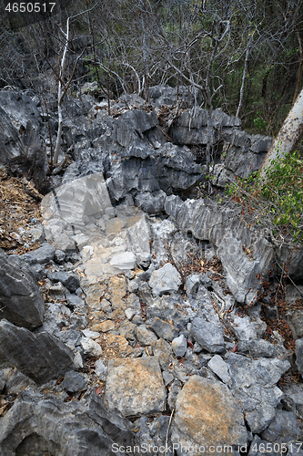 Image of dry rocky forest reserve in Ankarana, Madagascar wilderness