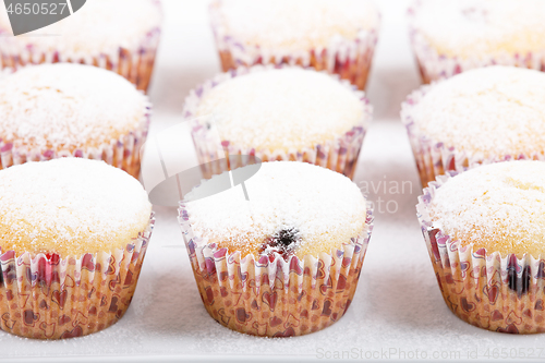 Image of fresh homemade Muffin on white background