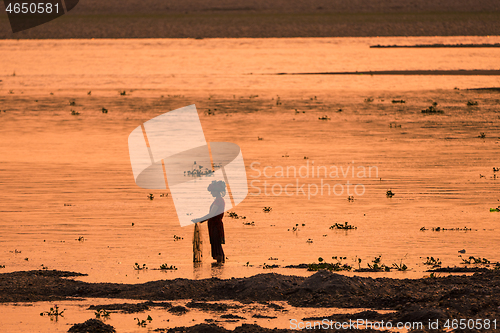 Image of Asian Woman fishing in the river, silhouette at sunset