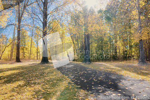 Image of autumn country road