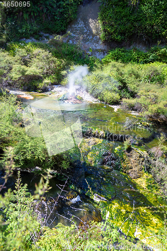 Image of volcanic activities at waimangu