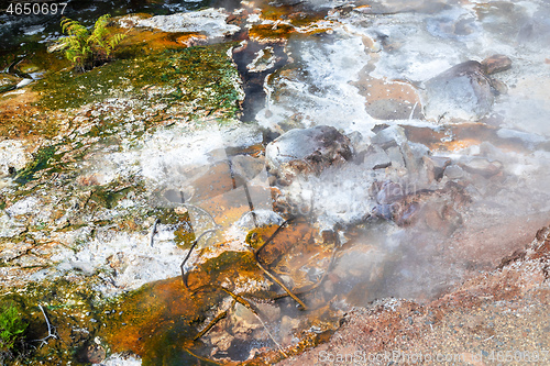 Image of volcanic activities at waimangu