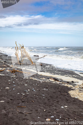 Image of jade beach Hokitika, New Zealand