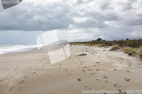 Image of sand beach south west New Zealand