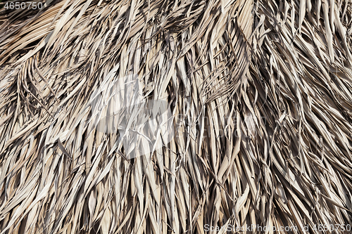 Image of Thatched roof texture