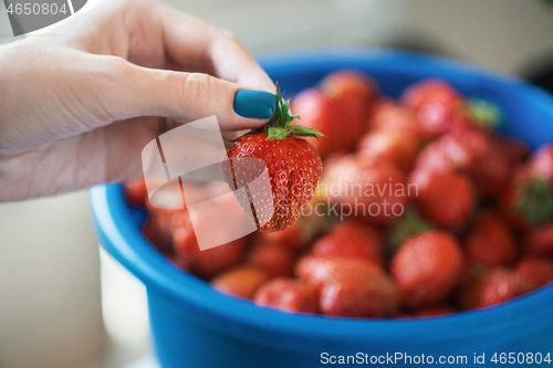 Image of Ripe delicious strawberries