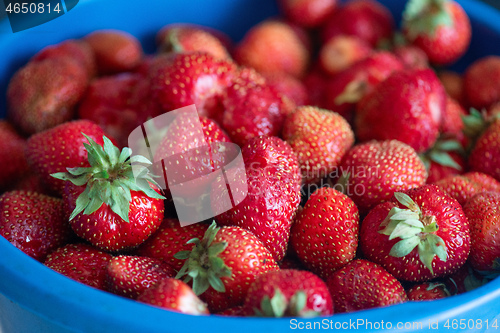 Image of Ripe delicious strawberries