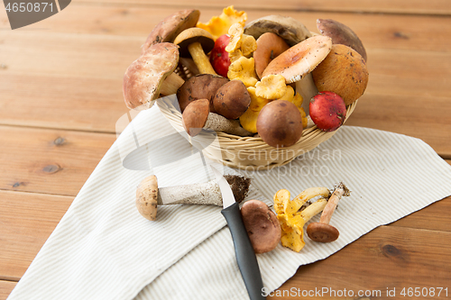 Image of basket of different edible mushrooms and knife