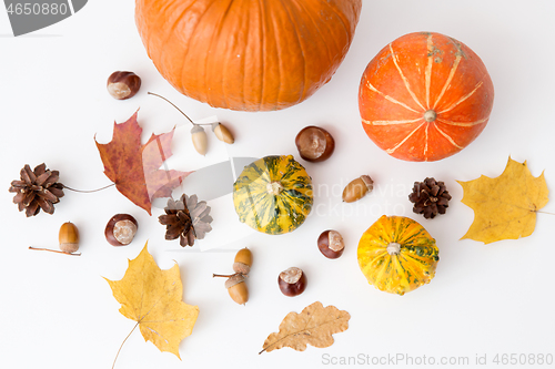 Image of autumn leaves, chestnuts, acorns and pumpkins