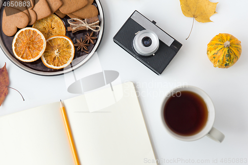 Image of notebook, hot chocolate, camera and autumn leaves