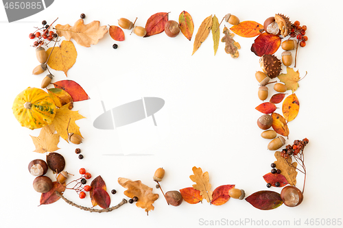 Image of autumn leaves, chestnuts, acorns and berries frame