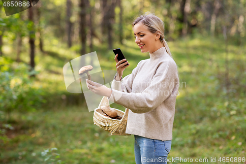 Image of woman using smartphone to identify mushroom