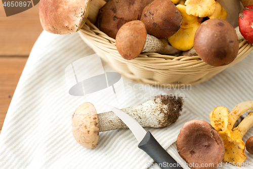 Image of basket of different edible mushrooms and knife