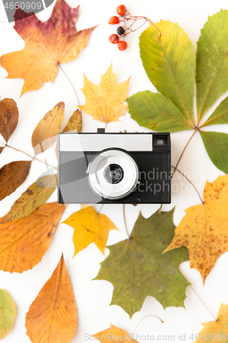 Image of film camera and autumn leaves on white background