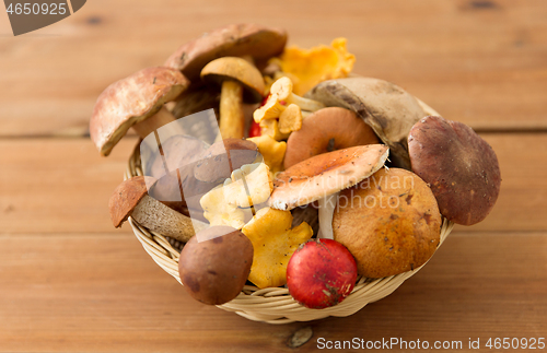 Image of basket of different edible mushrooms on wood