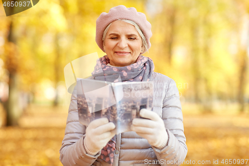 Image of senior woman with city guide at autumn park