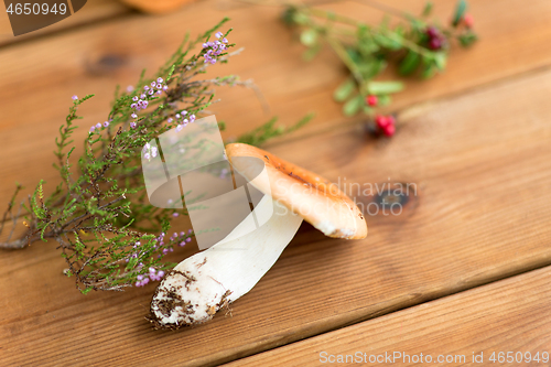 Image of russule mushroom with heather on wooden background