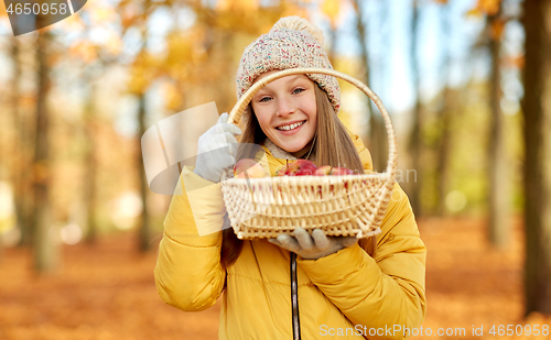 Image of girl with apples in wicker basket at autumn park