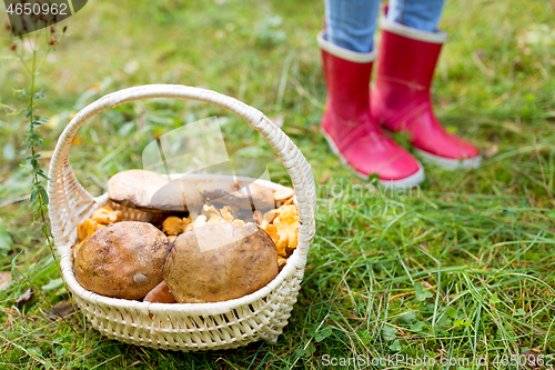 Image of basket of mushrooms and feet in gumboots in forest