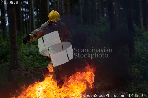 Image of firefighter in action