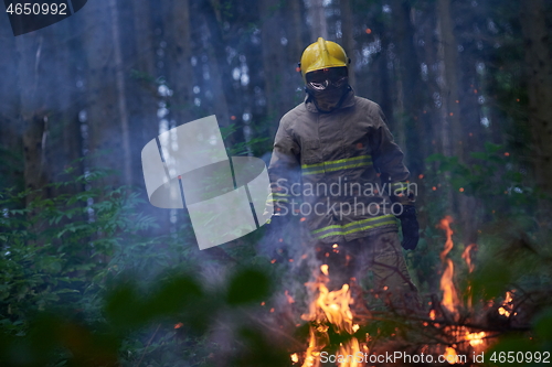 Image of firefighter in action