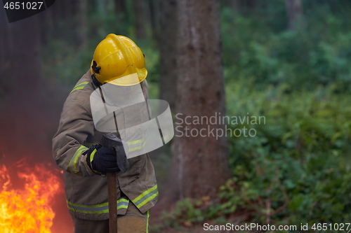 Image of firefighter in action